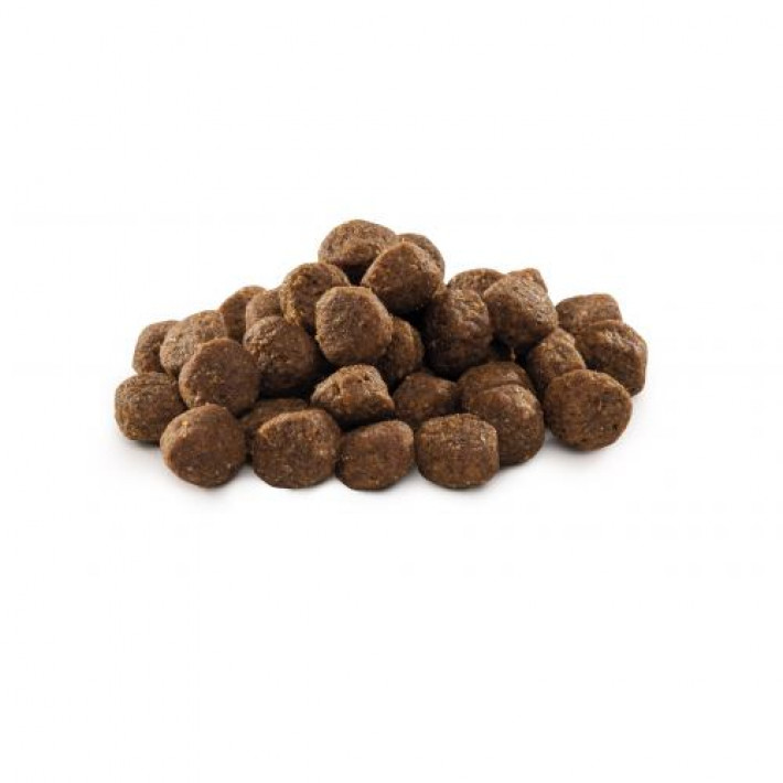 Сухий корм Brit Premium Dog Junior M для цуценят та юніорів середніх порід, з куркою, 15 кг