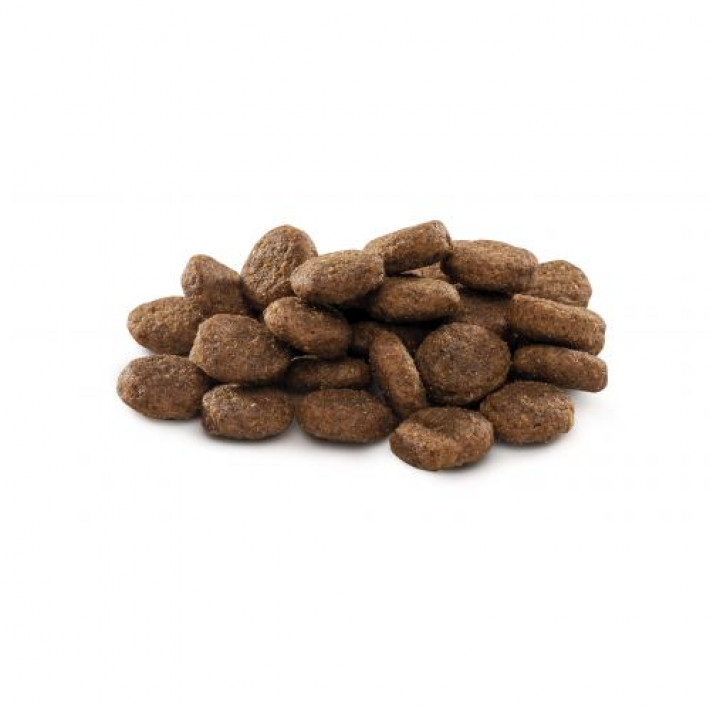 Сухий корм Brit Premium Dog Junior L для цуценят та юніорів великих порід, з куркою, 3 кг
