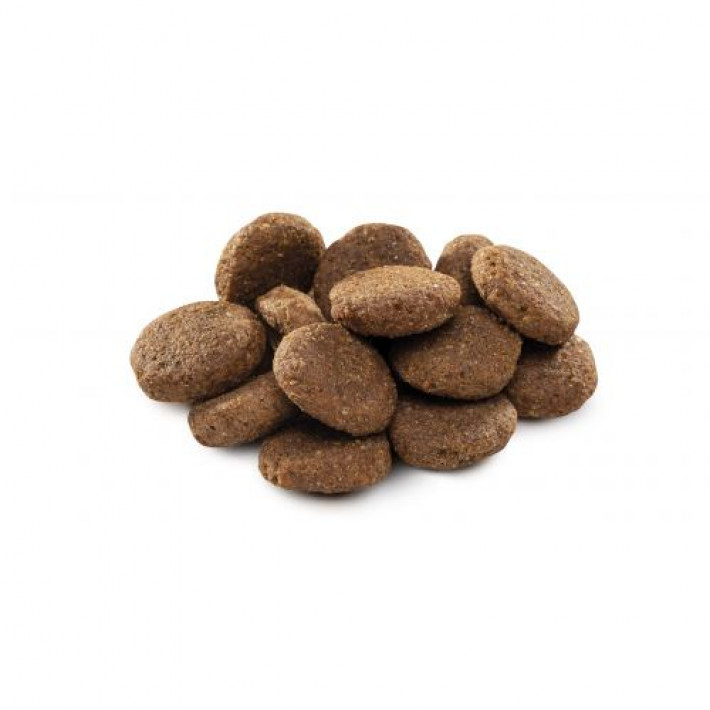 Сухий корм Brit Premium Dog Senior L+XL для старіючих собак великих порід, з куркою, 3 кг