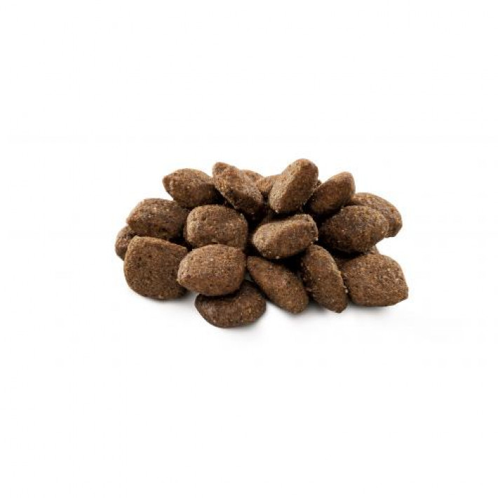 Сухий корм Brit Premium Dog Sensitive Lamb для собак з чутливим травленням, з ягням, 15 кг
