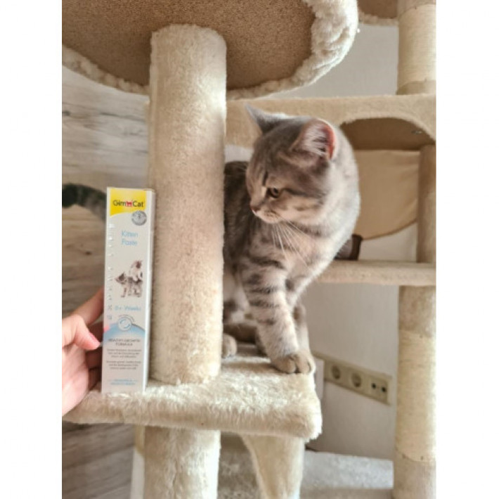 Вітамінізована паста GimCat Expert Line Kitten для кошенят, 50 г