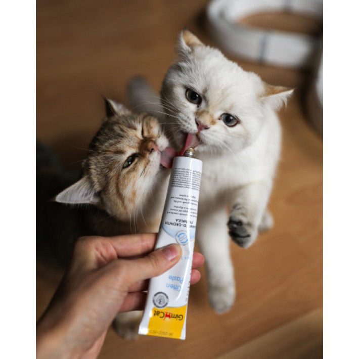 Вітамінізована паста GimCat Expert Line Kitten для кошенят, 50 г