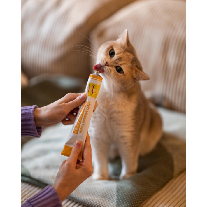 Мультивітамінна паста GimCat Every Day для котів, 200 г
