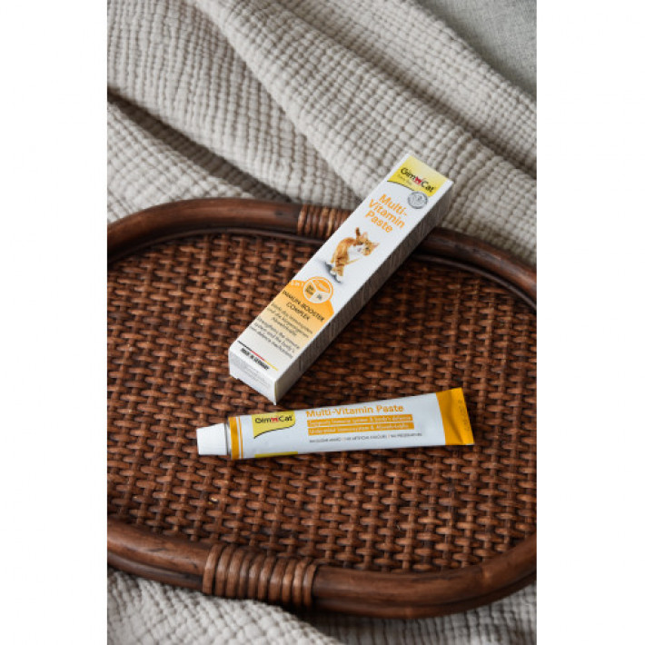 Мультивітамінна паста GimCat Every Day для котів, 200 г