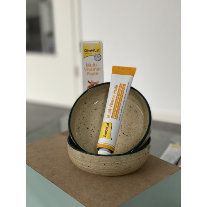 Мультивітамінна паста GimCat Every Day для котів, 200 г