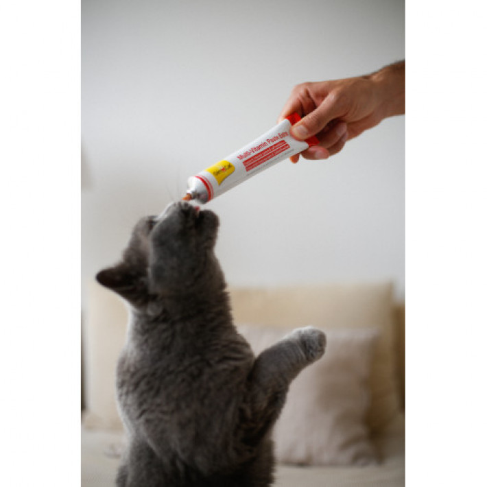 Мультивітамінна паста GimCat Every Day Extra для котів, 100 г