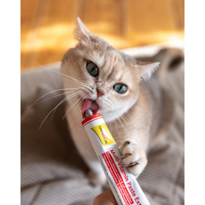 Мультивітамінна паста GimCat Every Day Extra для котів, 100 г