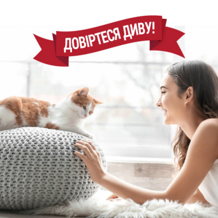 Спрей 8in1 NM Cat Orange Oxy Spray для котів, усунення плям і запахів, 709 мл