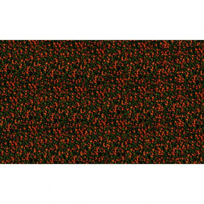 Корм Tetra Micro Pellets для акваріумних дрібних рибок, 100 мл (гранули)