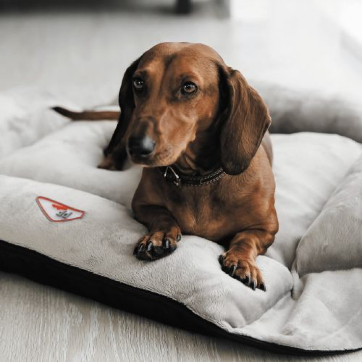 Лежак-трансформер Pet Fashion «Simon» для собак, 54х66х20 см, сірий/чорний