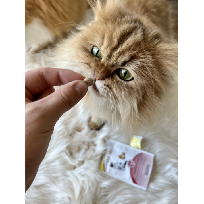 Вітаміни GimCat Every Day Malt Tabs для котів, 40 г