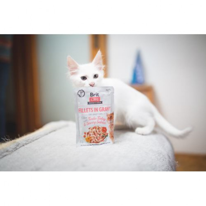 Вологий корм Brit Care Cat Pouch для котів, філе в соусі, ніжна індичка і пікантний лосось, 85 г