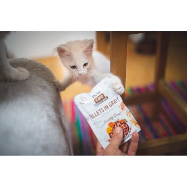 Вологий корм Brit Care Cat Pouch для котів, філе в соусі, качка, 85 г