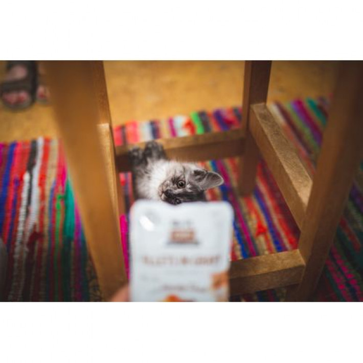 Вологий корм Brit Care Cat Pouch для котів, філе в соусі, качка, 85 г