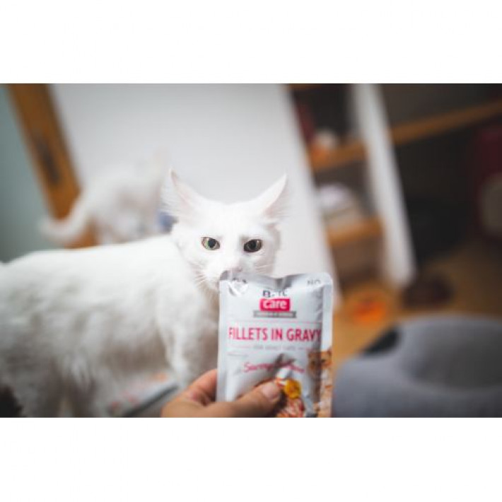 Вологий корм Brit Care Cat Pouch для котів, філе в соусі, пікантний лосось, 85 г