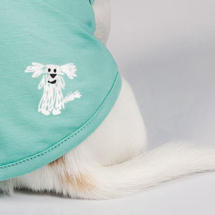 Борцівка Pet Fashion «Puppy» для собак, розмір S, м'ятна