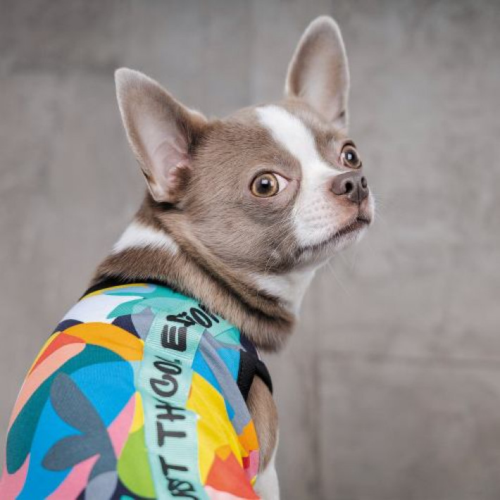 Борцівка Pet Fashion «Cool» для собак, розмір XS2, з принтом