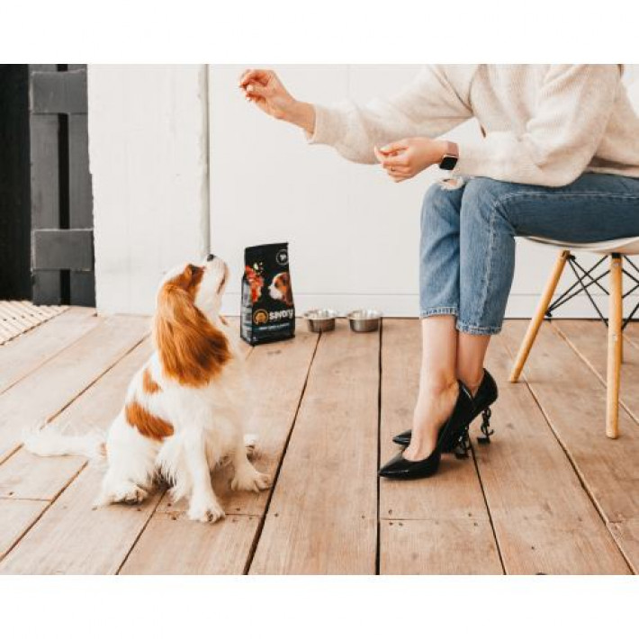 Сухий корм Savory Puppy для цуценят усіх порід, зі свіжою індичкою і куркою, 1 кг