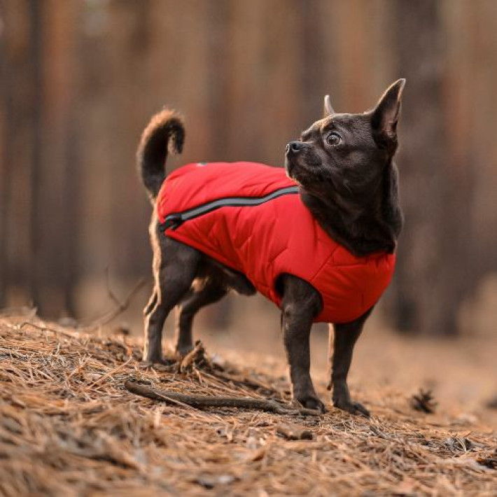 Жилет Pet Fashion «E.Vest» для собак, розмір M, червоний