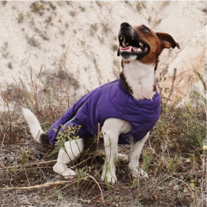 Жилет Pet Fashion «E.Vest» для собак, розмір M, фіолетовий