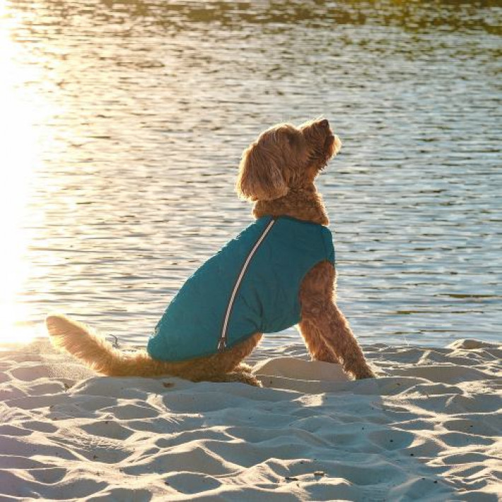 Жилет Pet Fashion «E.Vest» для собак, розмір M2, морська хвиля
