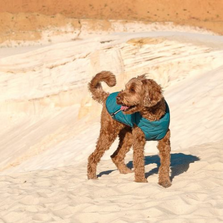 Жилет Pet Fashion «E.Vest» для собак, розмір M, морська хвиля