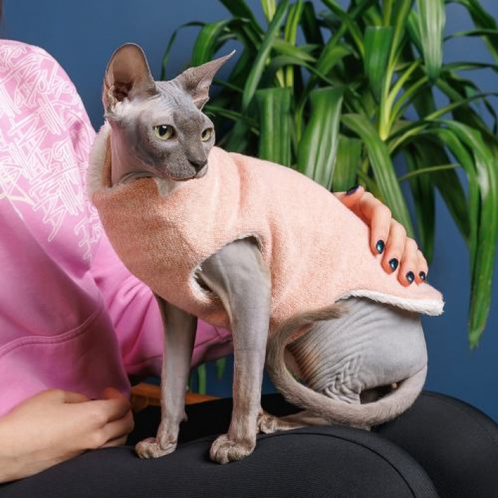 Светр Pet Fashion «Cat» для кота, розмір L, персик
