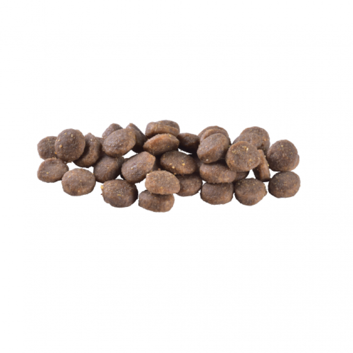 Сухий корм Brit Care Dog Grain-free Puppy для цуценят, беззерновий з лососем, 12 кг
