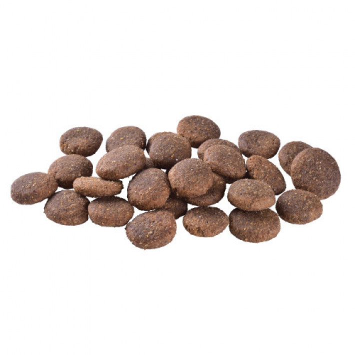 Сухий корм Brit Care Dog Grain-free Adult Large Breed для собак великих порід, беззерновий з лососем, 12 кг