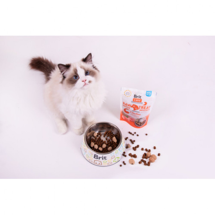 Ласощі для котів Brit Raw Treat Indoor & Antistress Freeze-dried з куркою, 40 г