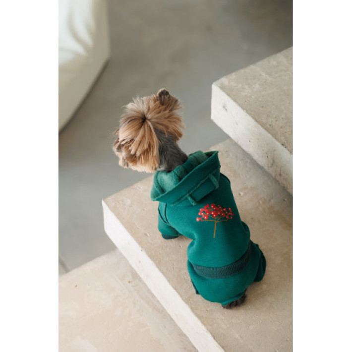 Костюм Pet Fashion Berry для собак розмір M