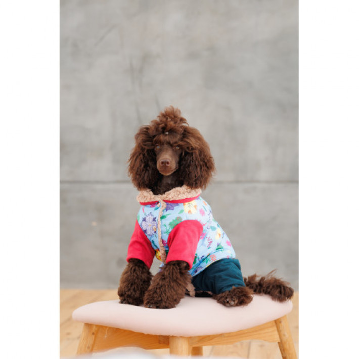 Костюм Pet Fashion Alisa для дівчинки розмір M