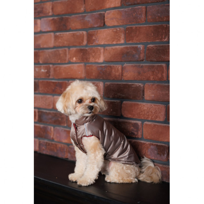 Жилет Pet Fashion Hardy для собак розмір M2