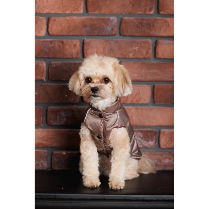Жилет Pet Fashion Hardy для собак розмір M