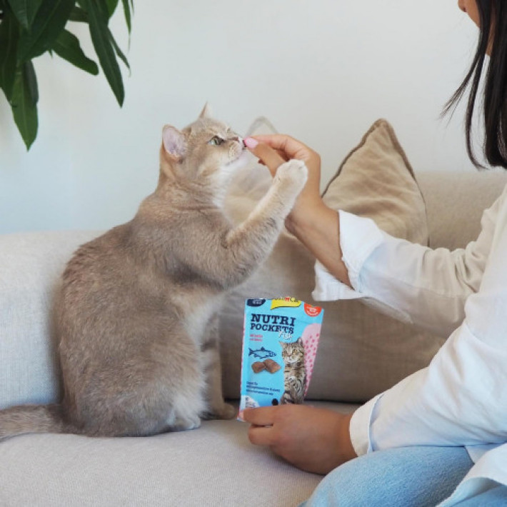 Ласощі для котів GimCat Nutri Pockets Fish Лосось 60 г