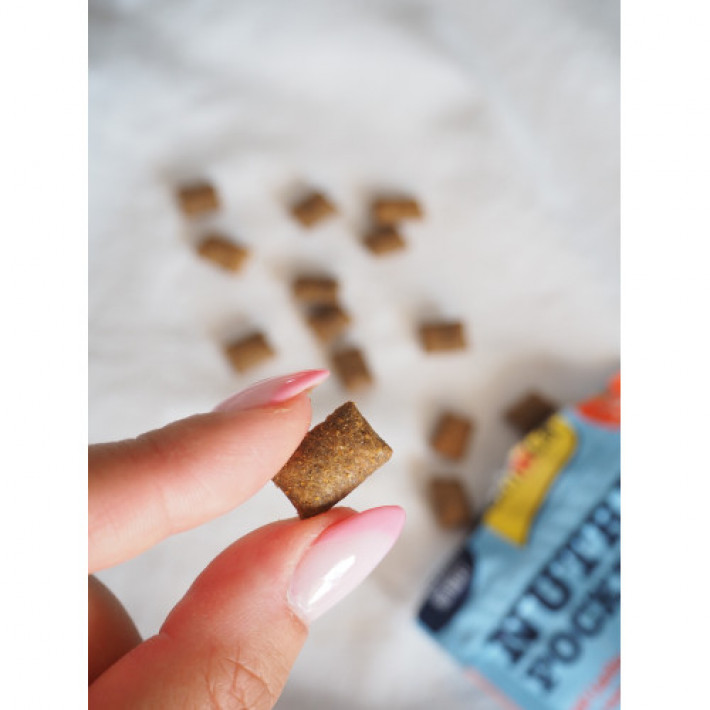 Ласощі для котів GimCat Nutri Pockets Fish Лосось 60 г