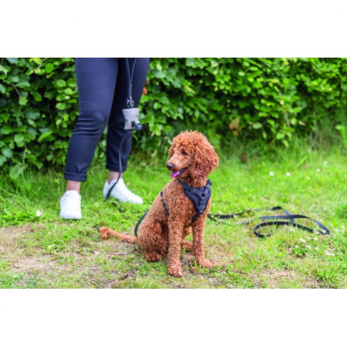 Шлея Trixie CityStyle H-harness для собак бавовна S–M 42–60 см 15 мм чорна