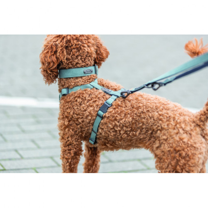 Шлея Trixie CityStyle H-harness для собак бавовна M–L 52–75 см 20 мм світло-зелена