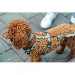 Шлея Trixie CityStyle H-harness для собак бавовна S–M 42–60 см 15 мм світло-сіра