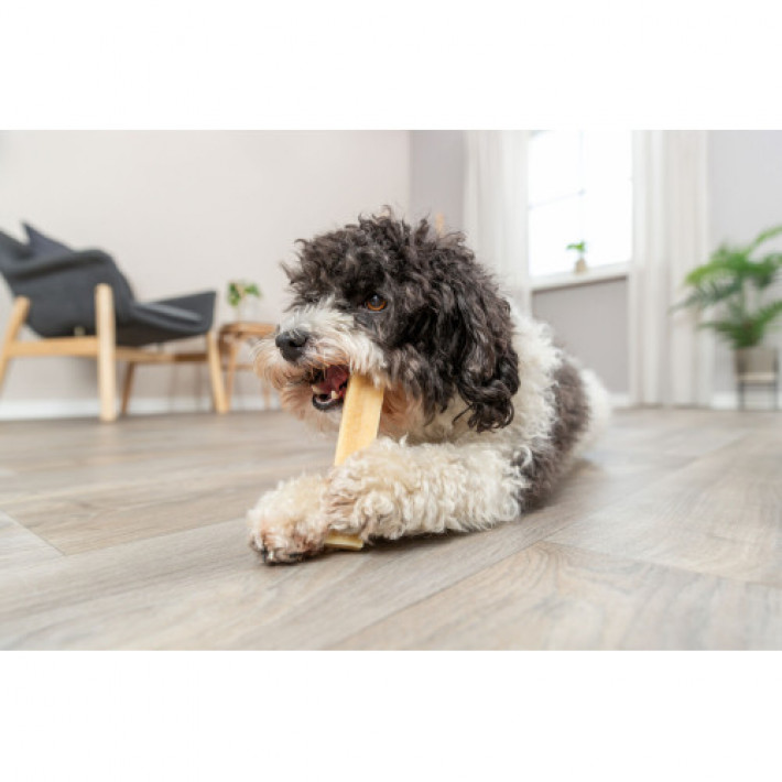 Ласощі Trixie Chewing cheese для собак, M: 13.5 см, 75 г