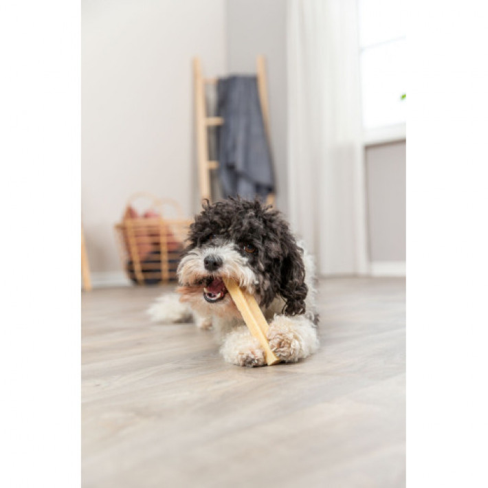 Ласощі Trixie Chewing cheese для собак, M: 13.5 см, 75 г
