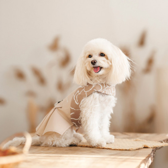 Сарафан Pet Fashion Lily для собак дівчинка бежевий XS2