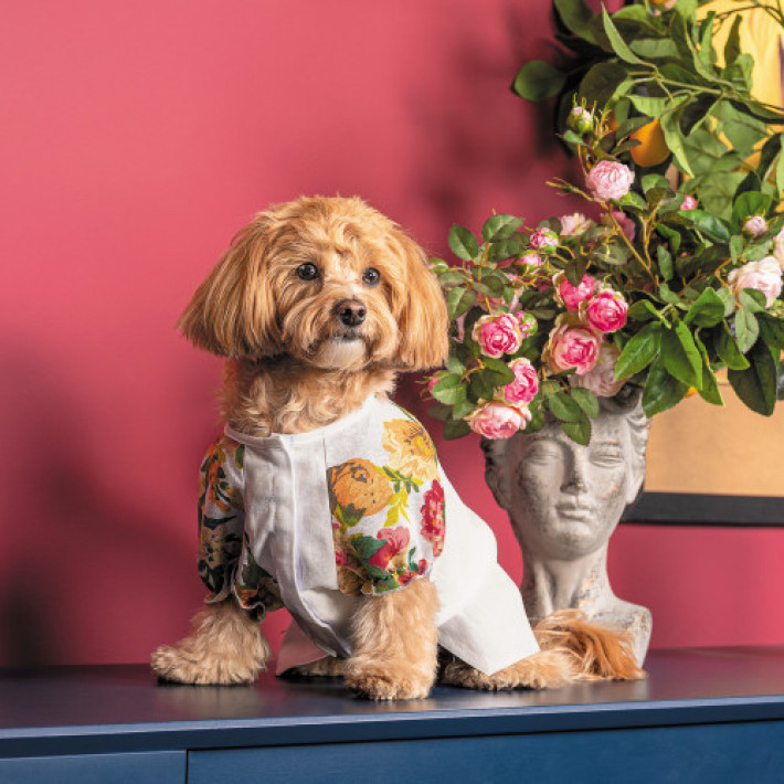 Сорочка Pet Fashion Соломія для собак дівчинка біла М