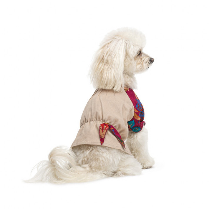 Сорочка Pet Fashion Соломія для собак дівчинка бежева М