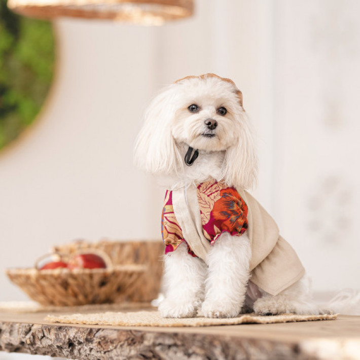 Сорочка Pet Fashion Соломія для собак дівчинка бежева М