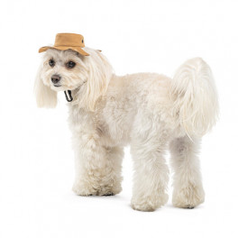 Панама Pet Fashion Ava для собак L