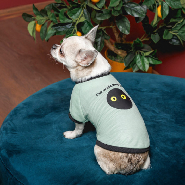 Футболка Pet Fashion Oscar для собак бавовна трикотаж рібана блакитна M