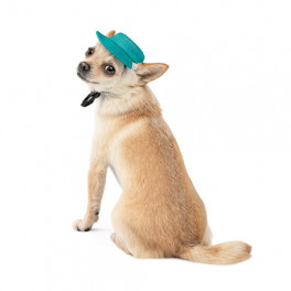 Панама Pet Fashion Rob для собак бавовна фіксатор бірюзова M