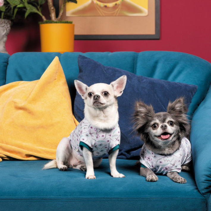 Футболка Pet Fashion Flora для собак бавовна трикотаж білий з квітковим принтом M