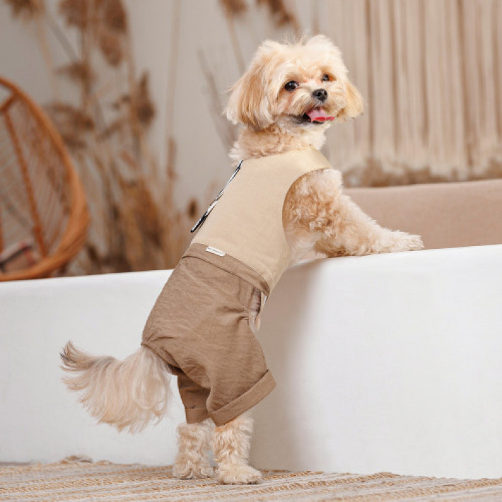 Шлея-костюм Darcy ТМ Pet Fashion для собак M бежева